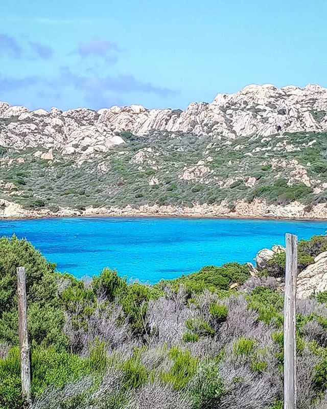 Si, I colori sono naturali... °
#lamaddalena 🐠🐬🐟 #focusardegna  #sardiniamylove  #kings_sardegna  #lanuovasardegna #volgoitalia #thehub_skyline #thehub_aqva  #yallersitalia #yallersSardegna  #traveling_sardegna #videolina #sardegnaofficial #instasard… ift.tt/2JAMy5t