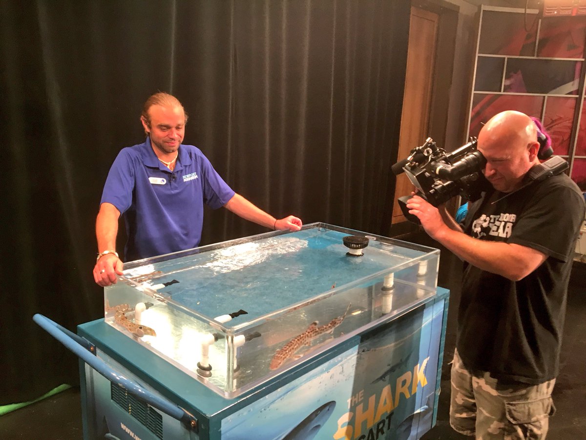 #Sharks in the studio! <a href="/Local12/">Local 12/WKRC-TV</a> #SharkSummer 🦈