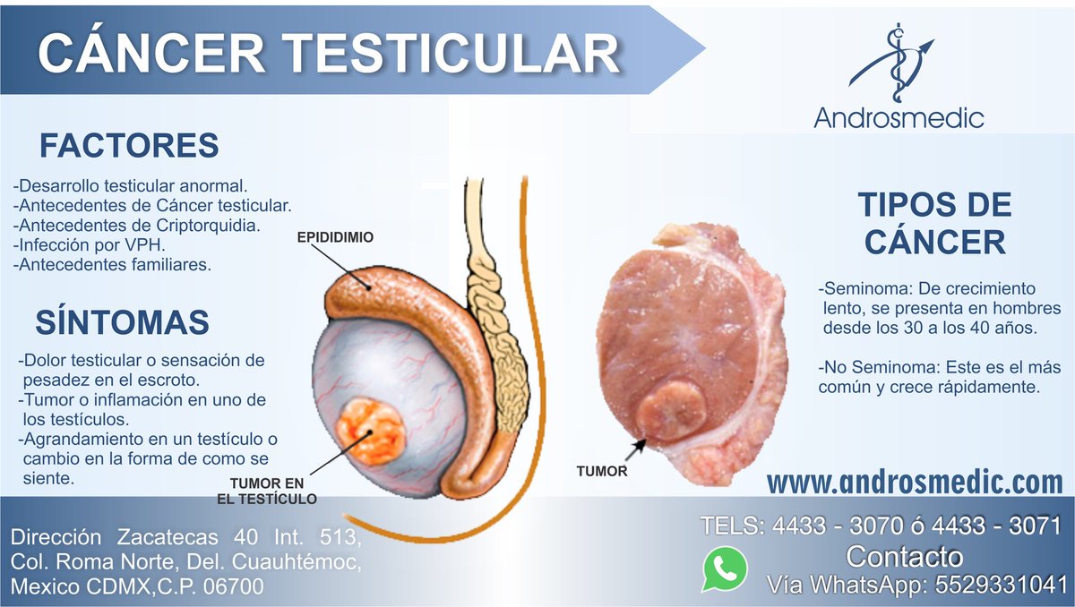 Se Puede Hacer El Laser En Los Testiculos Androsmedic on Twitter: "#cancer #testicular #testiculos #revisate #