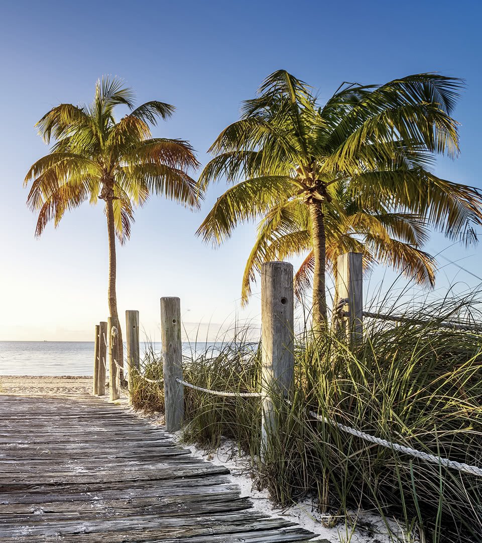 GloriusUSA's tweet image. If you are seeking the #UltimateVacation, then the #Caribbean is definitely the best place for your #holiday. Start off in #FortLauderdale in #Florida, and then set off in your #yacht for a relaxing trip: bit.ly/2Mk53ZH