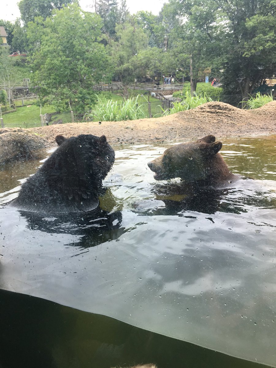 @Hersheypark  @HersheyPA love #ZooAmerica!! My kids did too!!! Had a blast