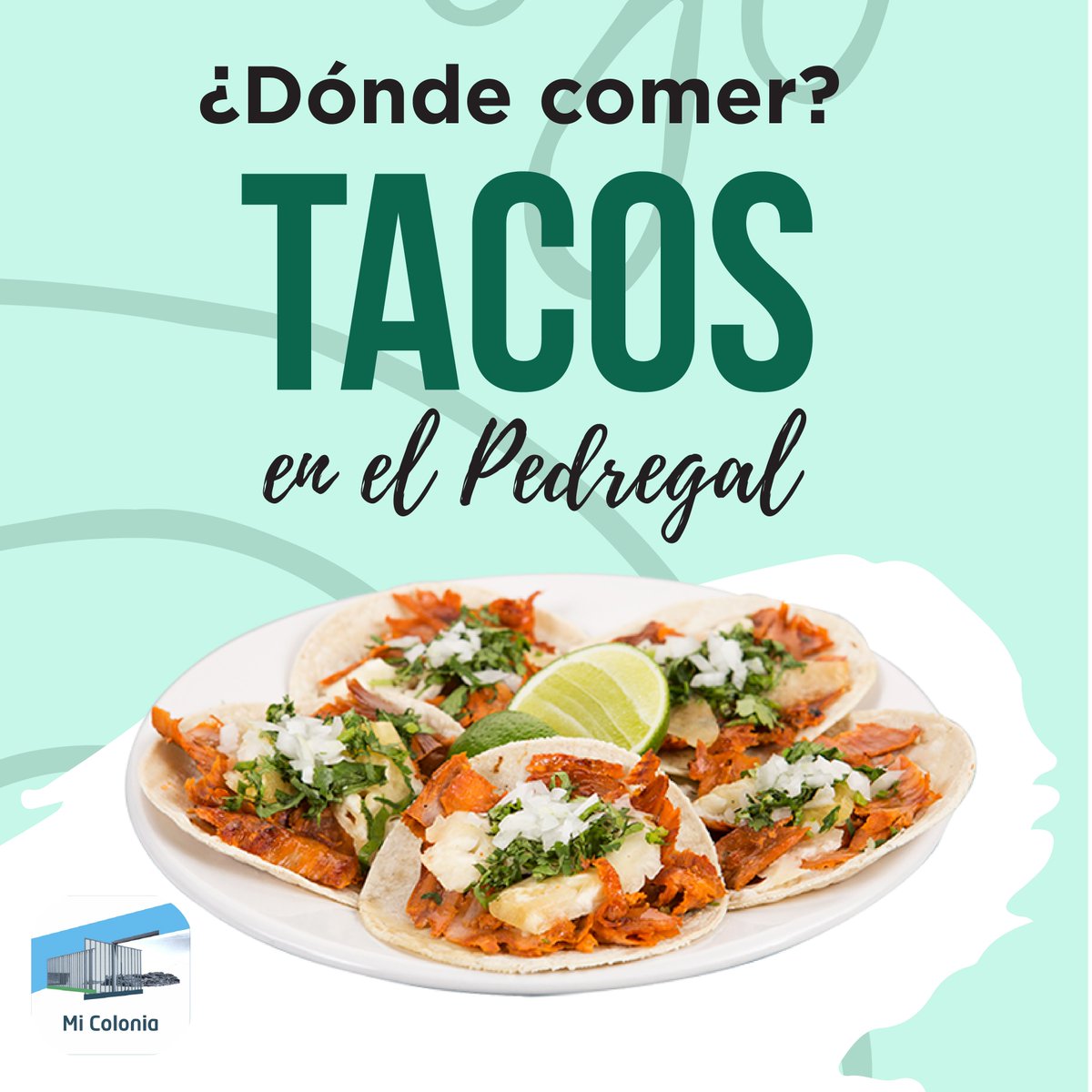 ¡Qué delicia unos taquitos! 
Te recomendamos los siguientes: 
1️⃣ <a href="/donmanolitomx/">Tacos Don Manolito</a> 
2️⃣ @tacoselfarolitomx
3️⃣ @elcalifa_mx
4️⃣ <a href="/eltizoncito1966/">El Tizoncito</a>
5️⃣ <a href="/lacasadelpastor/">La Casa del Pastor</a>
6️⃣ <a href="/losdececi/">losdececi</a>
7️⃣ losparados
8️⃣ #elcharcodelasranas
9️⃣ <a href="/tacoslobo/">El LoBO Taquería</a>