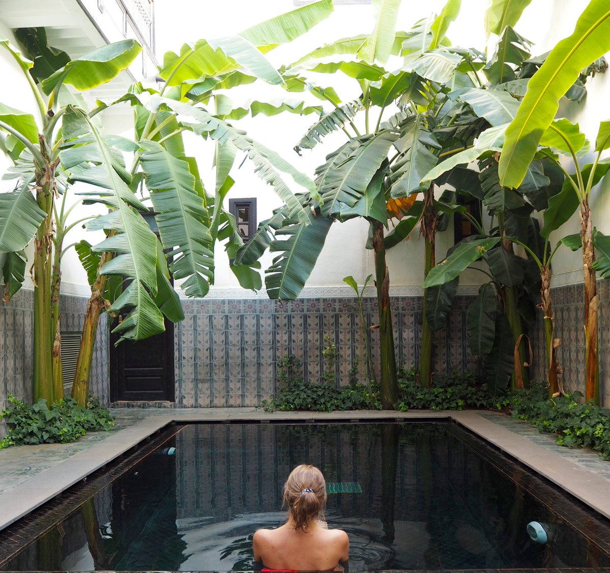 Hattie West tweet media