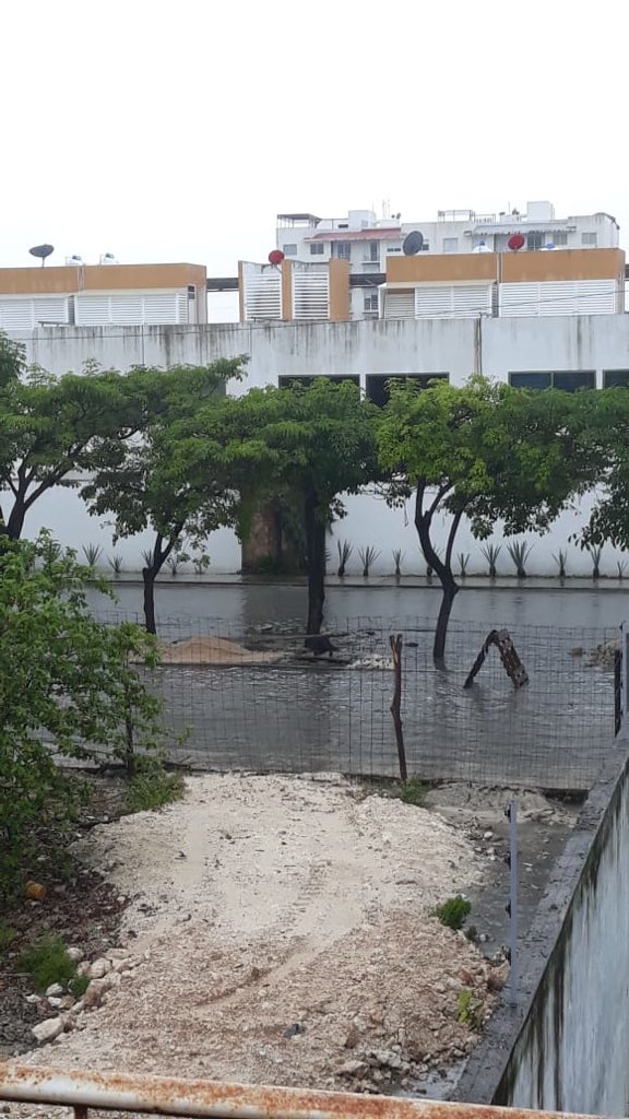 nedd_denblanny's tweet photo. #Denuncia Hicieron un pozo de absorción en la #Sm41 en la calle Itzal y no lo terminaron y falta otro por hacer y bueno, se inunda y en la esquina ya se hundió a la altura del Oxxo porque hay un cenote pero @SerPublicosBj @AytoCancun aún no resuelven @Arturo_Medina_G Ayuda!!! https://t.co/rYGnafBuWv