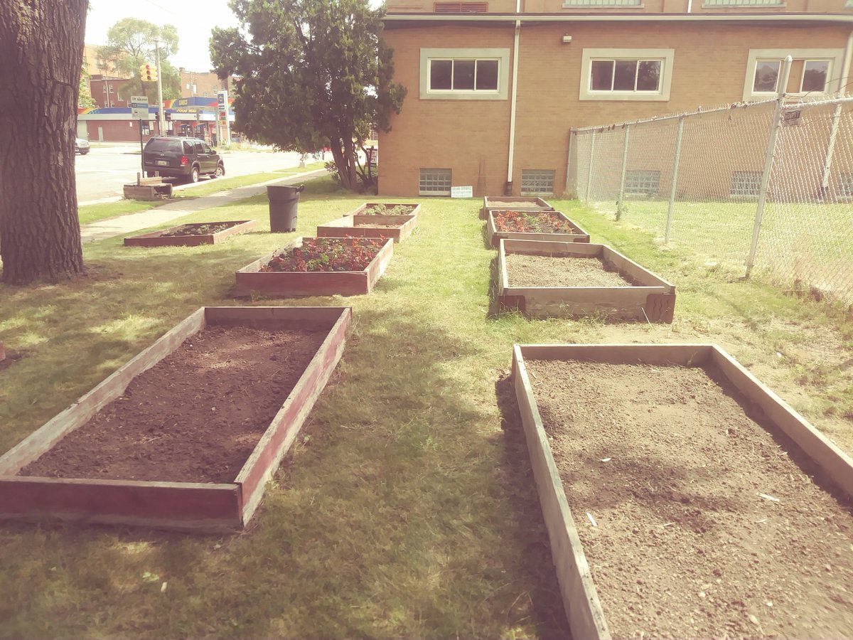 matrix_detroit's tweet photo. Amazing @Ford volunteers at #TheMatrixCenter this morning helping to prepare garden beds for our #CampOz summer program.
We host hundreds of students for our summer day camp & they'll use these beds for gardening projects!
#Detroit #DetroitLove #MatrixMission @fordfund_ https://t.co/twSVZ5YJFF