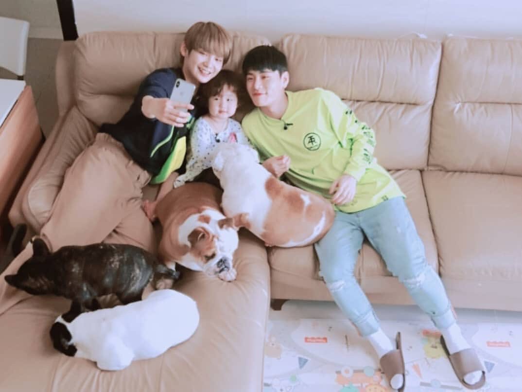 kentapics's tweet photo. why does this look like they got married and adopted a baby and a bunch of dogs https://t.co/vQ0KnewAwZ
