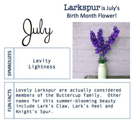 July month. Months in english. August month. July is the month of. июнь июль на английском.