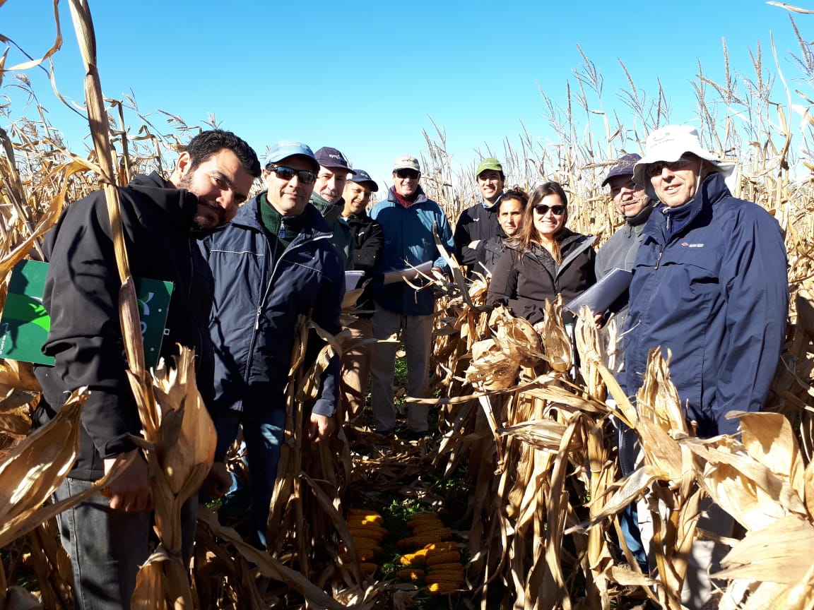 eugenia_bai's tweet photo. Recorrida Maíz @Syngenta_ar con los que más saben!! Hoy..#Galvez #SanFrancisco #SYN848Viptera3 #SYN875Viptera3 https://t.co/wMyBFxzWQ2