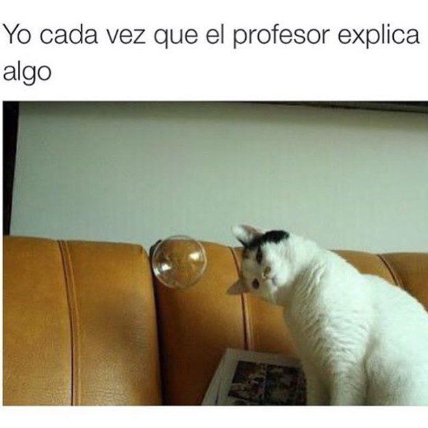 Bateil's tweet photo. ¿? 🤤 #Meme #Entretenimiento #Mitadsemana https://t.co/UVVeIksIEH