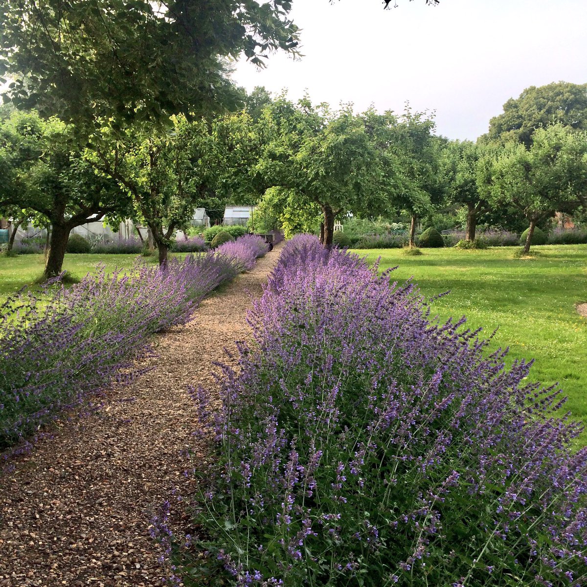 JenRHarlow's tweet image. We're here at the beautiful @CheniesManor tonight with @CWBookshop &amp;amp; @bryony_gordon, talking about her amazing book #EatDrinkRun 📚💗💪
