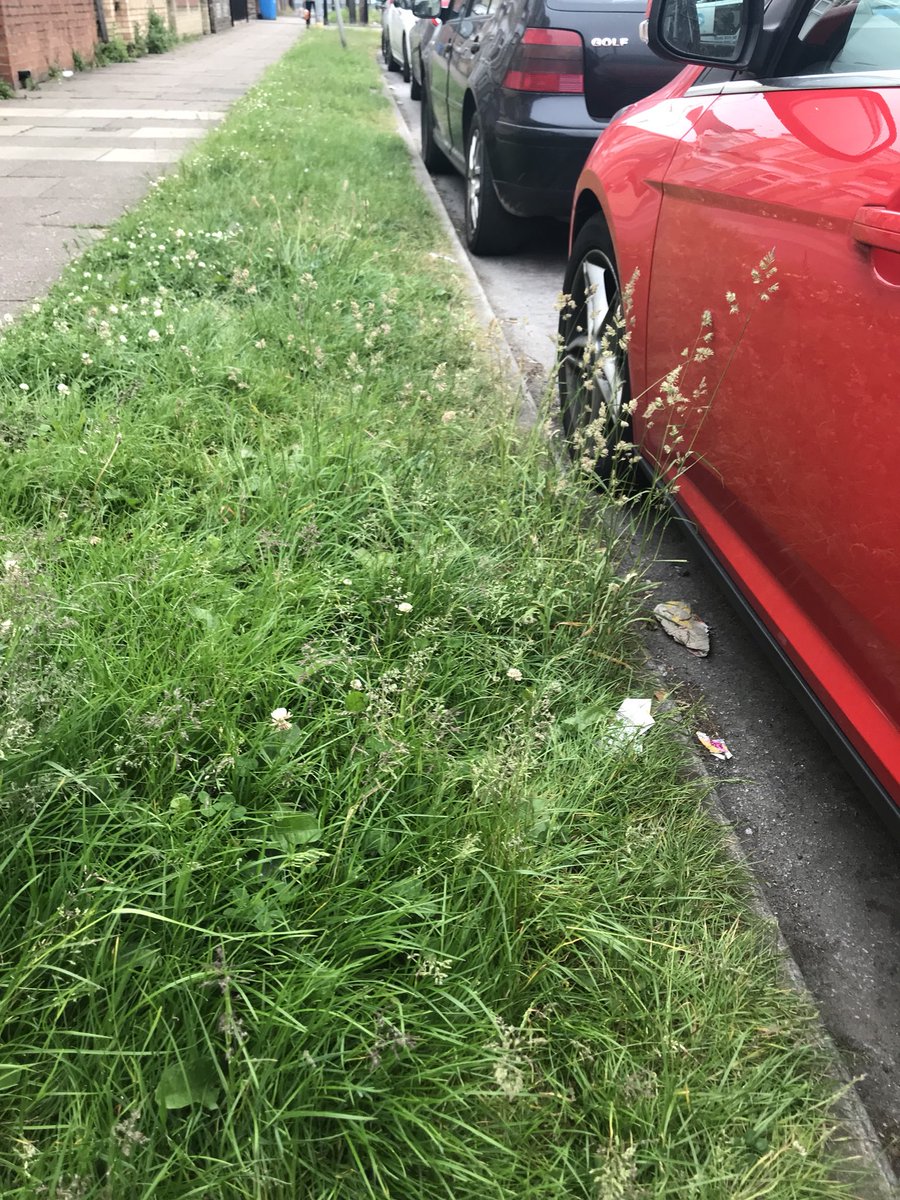 steveacko20's tweet photo. @hullccinfo any plans to cut the grass verges down Summergangs road at all this year? https://t.co/CX0gt55IYe