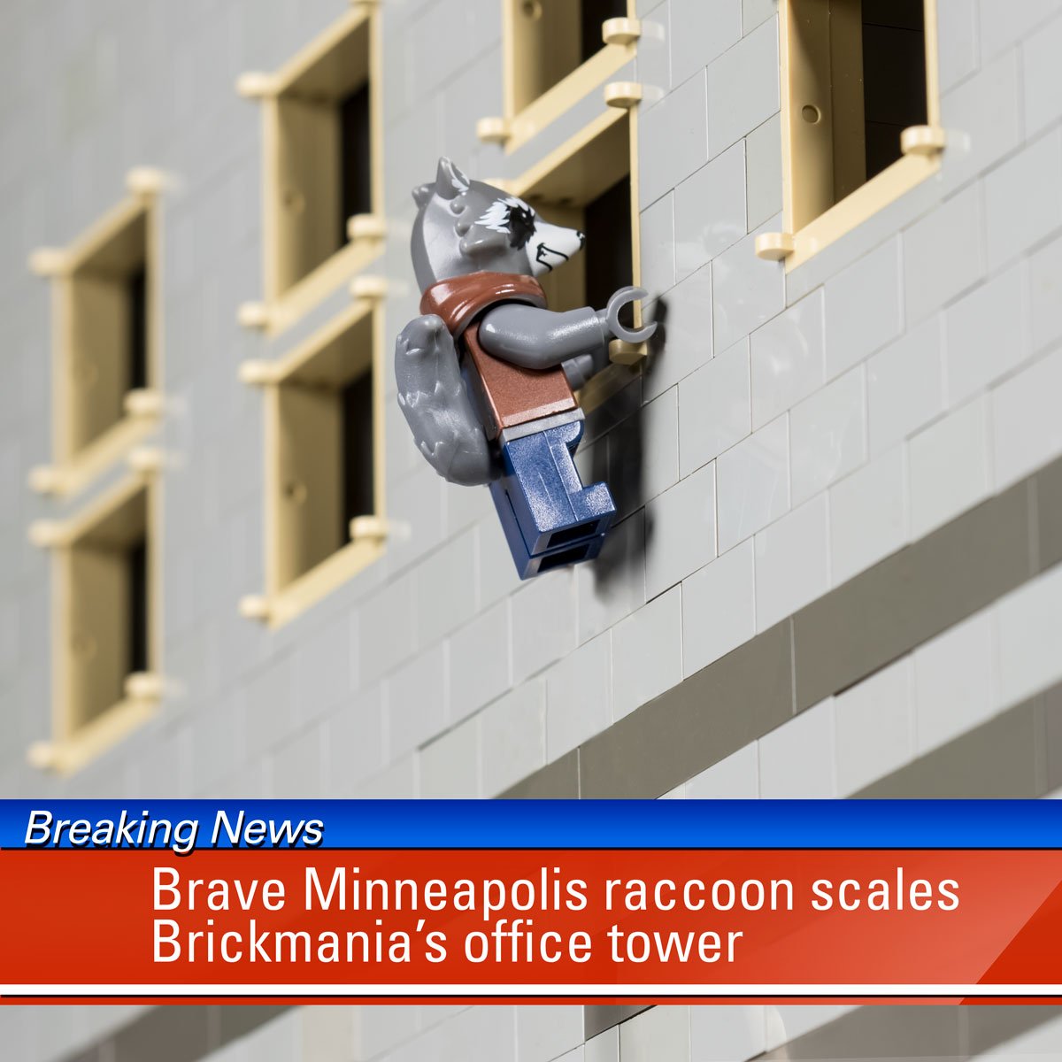 brickmaniatoys's tweet image. BREAKING #mprraccoon #brickmania