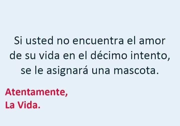 Maritrejs's tweet photo. Jajajaja, lo imaginé 🐾 https://t.co/FSZqPPzkPP