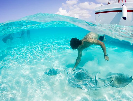 imaginecayman's tweet photo. Cruise seven-mile beach or experience one of Grand Cayman's best boat charters to famous Stingray City. Click link to learn more: https://t.co/bi45VJuXFH
 #grandcaymanexcursions #grandcaymantours #grandcaymansnorkeling #sailinggrandcayman #stingraysailinggrandcayman https://t.co/p0WxEgfcZ3