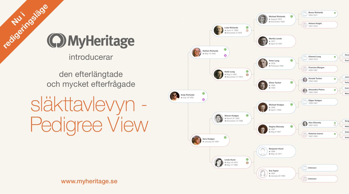 Май херитейдж. MYHERITAGE семейное дерево. Https://www.MYHERITAGE.com/Index.php?lang=ru. MYHERITAGE семейное дерево вход. My Heritage DNA.