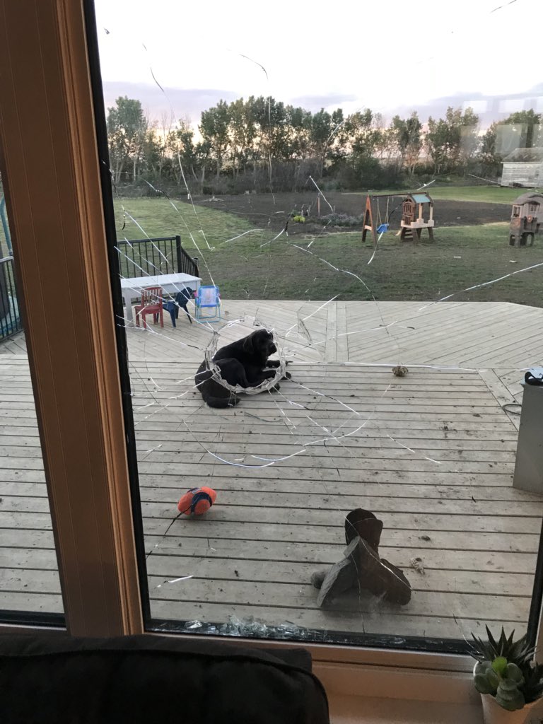 jagow13's tweet photo. No matter how glamorous @TheThunder83 makes #Mow18 look it’s not always. Luckily only a few scratches on the kids. #dogtoydown https://t.co/w9XyKHJs6c