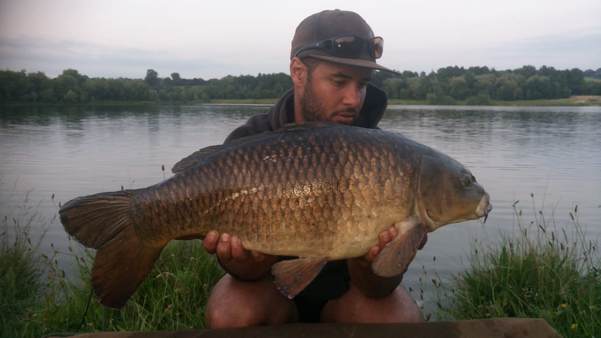 Leads_2_Go's tweet photo. Managed 3 on a recent session caught once again on @RGBaitsUK vita-lac. #commons #mirror #leads2go #l2g #fishing #carpleads #leads https://t.co/RikbZ5crqW