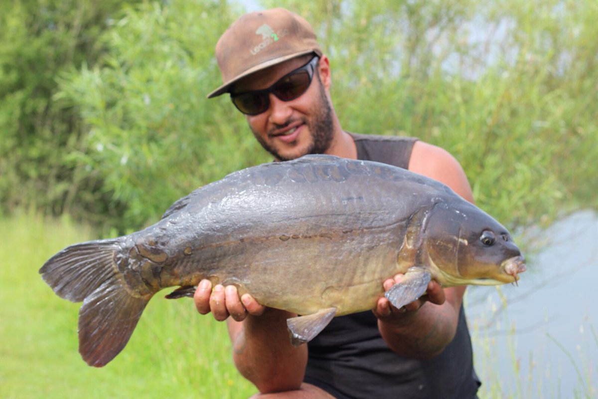 Leads_2_Go's tweet photo. Managed 3 on a recent session caught once again on @RGBaitsUK vita-lac. #commons #mirror #leads2go #l2g #fishing #carpleads #leads https://t.co/RikbZ5crqW