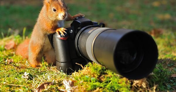 5 easy ways to use your images for good on Nature Photography Day buff.ly/2sPqdqs