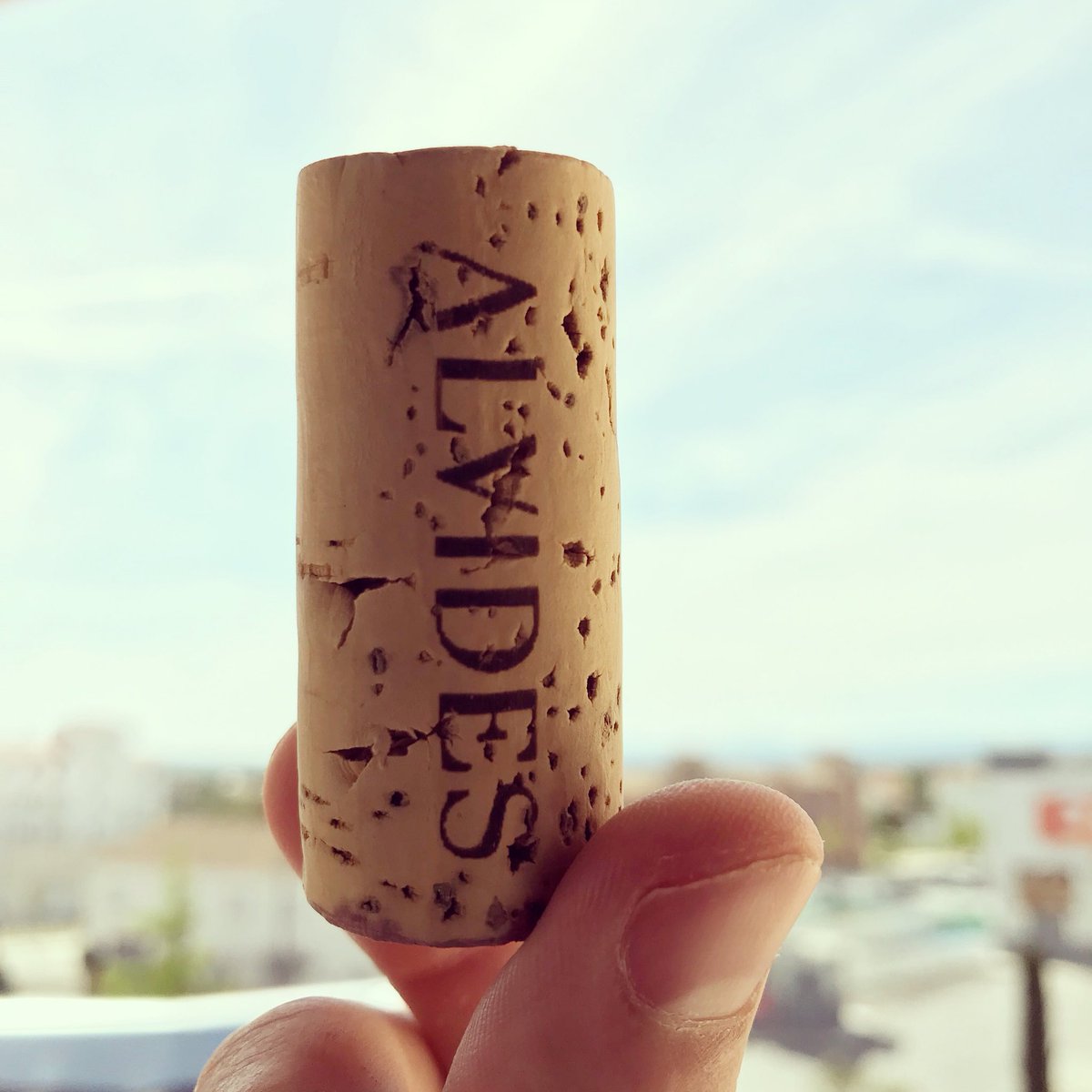 Bodega Alvides tweet media