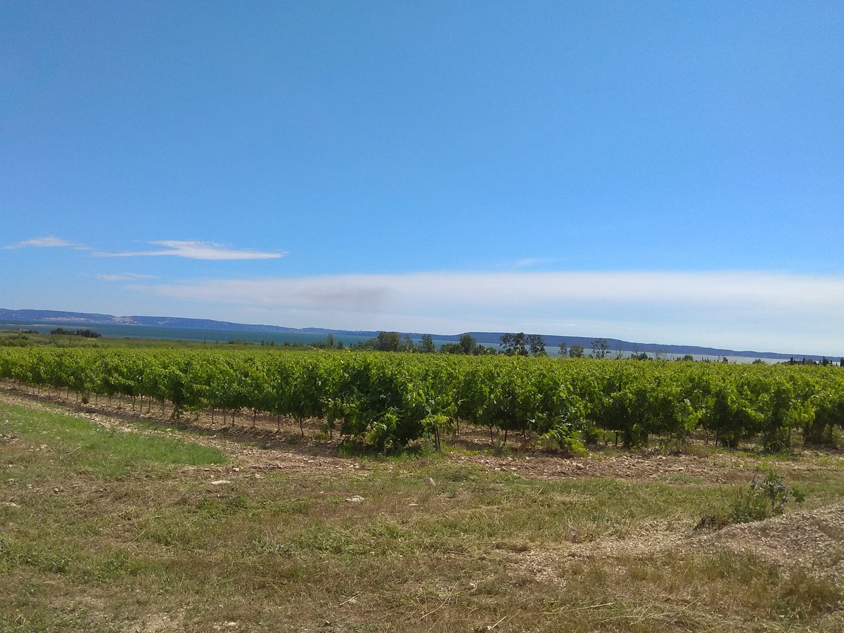 #vernissage des #oeuvres de #julienavarro > RDV ce samedi 16 juin, 18h au #domainedesuriane #saintchamas pour une superbe soirée ! 🎉 #savethedate #mustsee