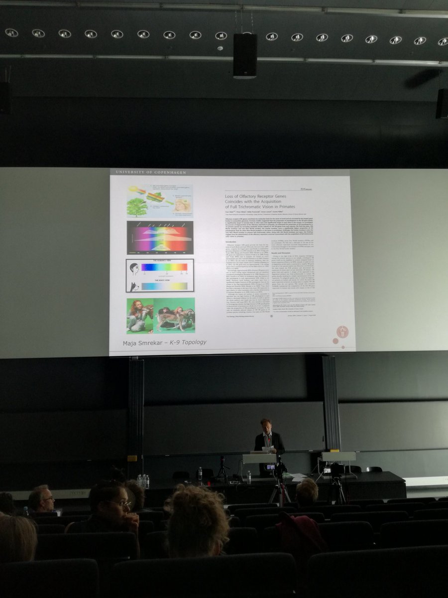 SuneBorkfelt's tweet photo. Jens Hauser mentioning #animals and connections between colour vision and olfactory sensitivity, asking, for instance, 'for whom is green?' rather than just 'what is green?'. #slsaeu #slsagreen #green2018 https://t.co/sCjkJqQXJl