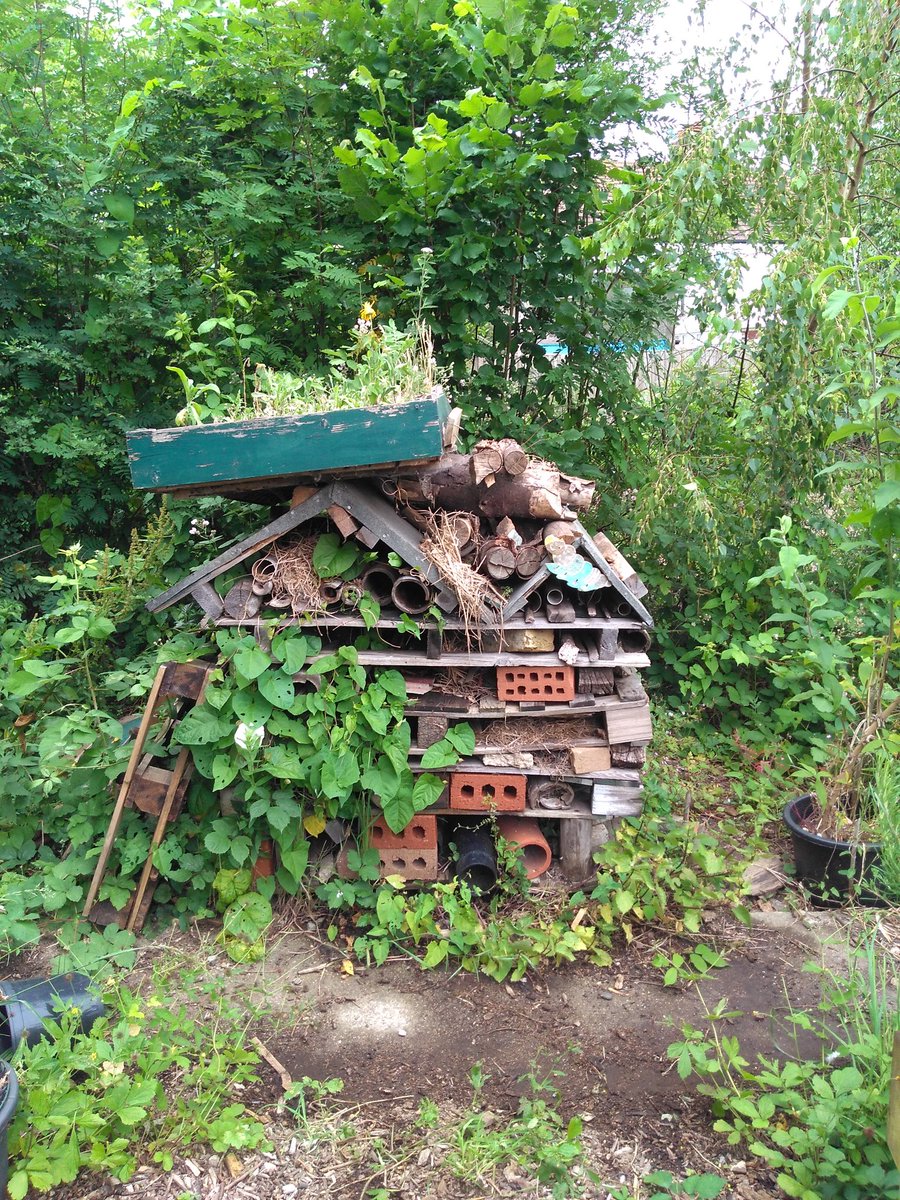 Busy visiting schools, enjoying hearing about all our learning gardens! Yesterday we delivered some training to help #Merton schools embed their #projectlearninggarden Great stuff, keep growing!! <a href="/gardenorganicuk/">Garden Organic</a> <a href="/captainplanetfd/">Captain Planet Fdn</a> <a href="/SeedsofChange/">Seeds of Change</a>
