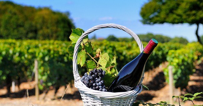 jules_mahon's tweet photo. RT to WIN a Box of 12 Wines to Celebrate #BeaujolaisWeek in Ireland this Summer #beaujonomie 🍷

https://t.co/PYDJaJB9LA https://t.co/Ffn5KMZTwq