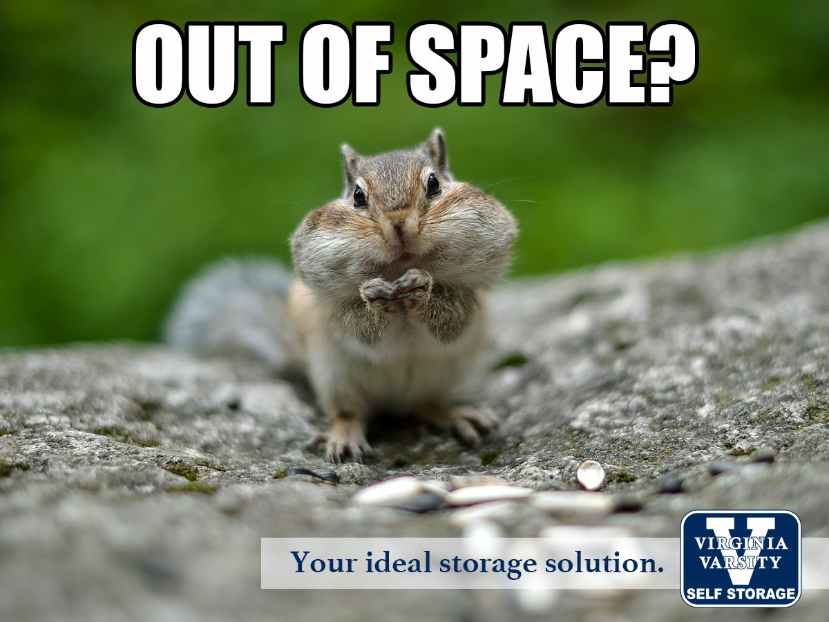 VirginiaVarsity's tweet photo. Out of space?  We've got plenty.  Rent your unit today! https://t.co/yUSkwOqu9E