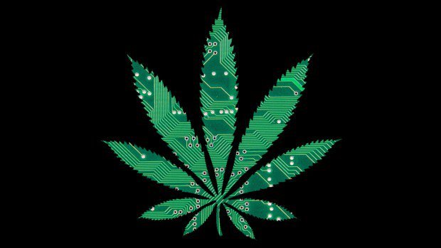 GANConnect's tweet photo. Did you know that a lot of #startups could benefit from proving out their concepts & technologies in a less competitive (and smaller) market like #cannabis? Read more about using cannabis as a launchpad from the @CanopyBoulder team: https://t.co/tN9mB1kbqQ #GANAccelerator https://t.co/M5wjauOrfj