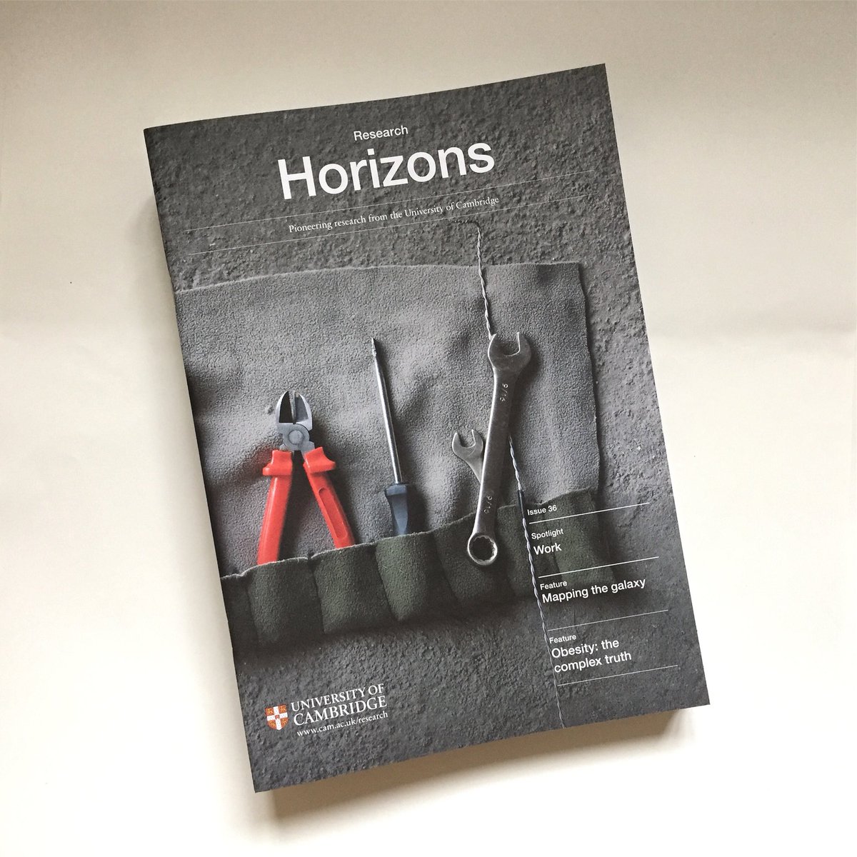 intheabstracted's tweet photo. Galaxy quests, the King of Scuttle Flies and an island called Robinson Crusoe, as well as what’s happening in the world of ‘work’. Worth staying in-in for 😀 See the latest issue of Research Horizons @cambridge_uni #CambridgeWork https://t.co/kltRd0do6G https://t.co/cVcdA2it9d