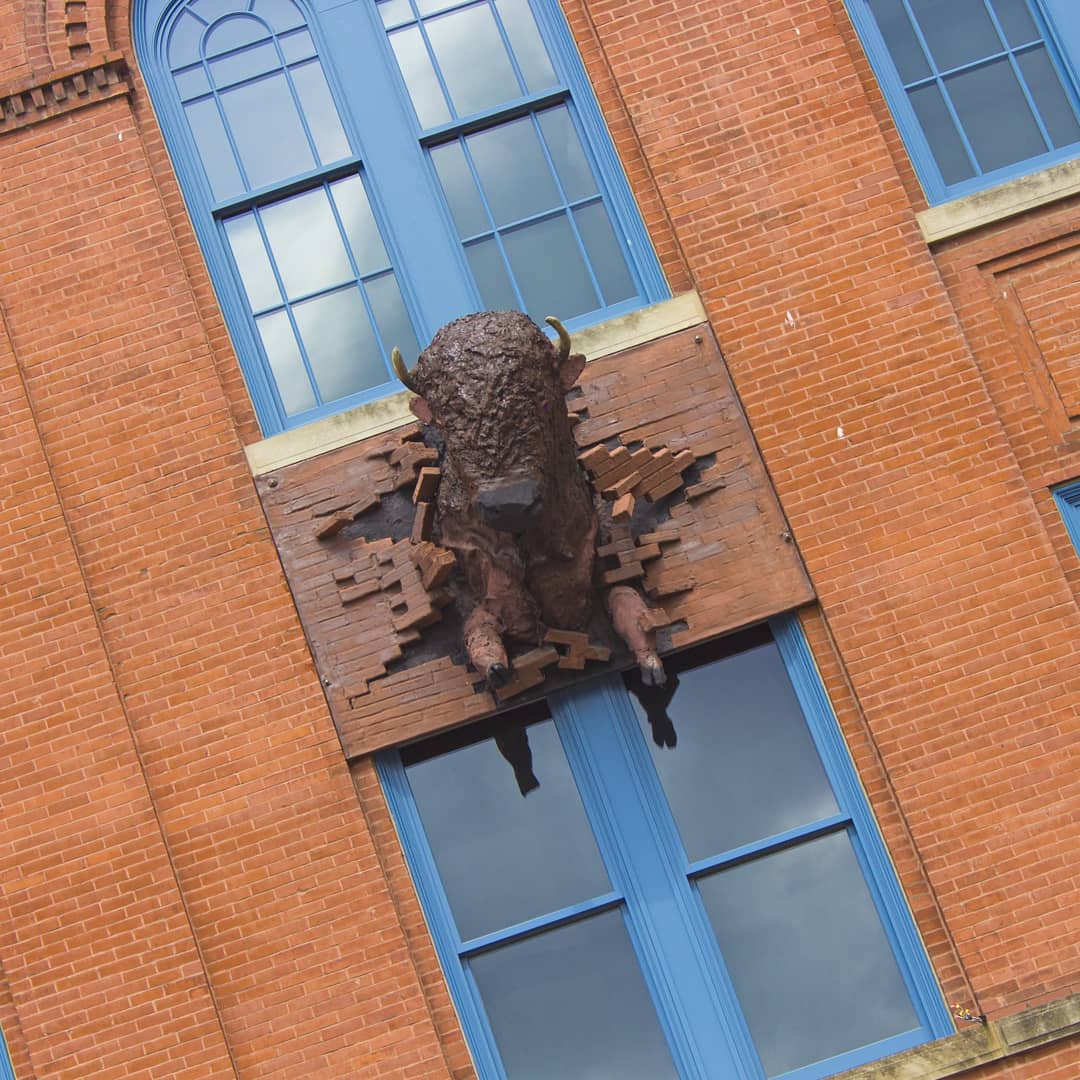 RockwellMuseum's tweet photo. Hello, friends of Corning - I am back! It's been a wild adventure, thank you all for making me feel so loved and missed here at home.

#ArtemusTakeover #ExploreCorning #MuseumMascot https://t.co/I2LPtZmVNZ