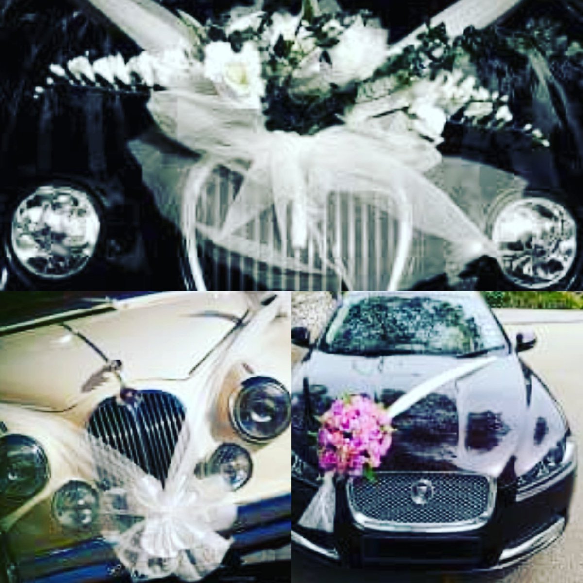 LadyFierros_ofi's tweet photo. CAMBIA EL STATUS DE RELACION CON TU AUTO Lo conoces? Lo escuchas cuando te habla? Estas comprometida a cuidarlo? sos leal llevandolo a un mecánico de confianza? Renová los votos con tu auto: conocelo, sé consistente, cuidalo, aprendé a escucharlo y si querés ponele un apodo https://t.co/6aqjWDrA05