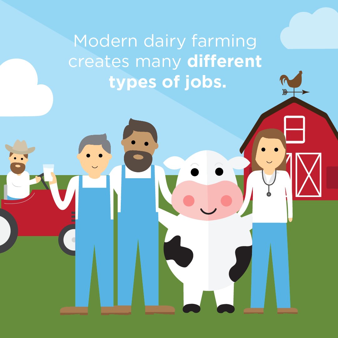 When you think of a dairy farm, you might not think of a nutritionist, accountant, equipment technician, genetic analyst, statistician, engineer, or lab technician...but these are just a few of the many jobs created through modern dairy farming. #CowFact