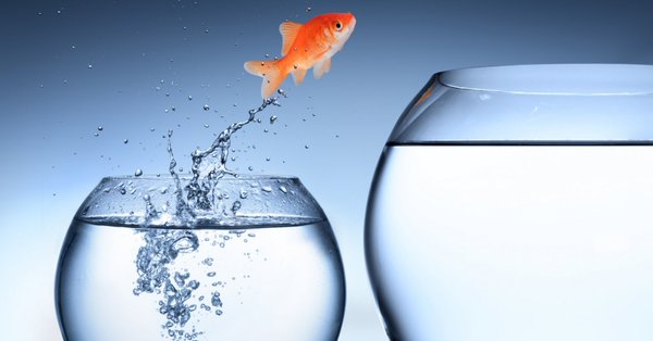 alexgladney's tweet photo. These 3 tips will help you shape a company culture that engages and retains millennial employees: https://t.co/mNgVxsY28Q https://t.co/HOvSE08zaa