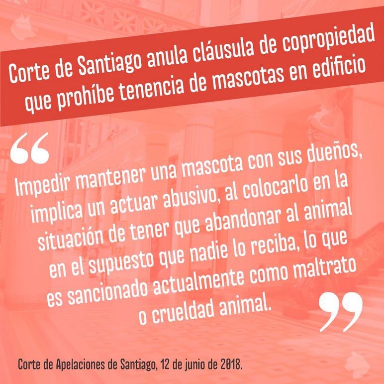 dog_chile's tweet photo. Basta de abusos en edificios!!! Los #perros son nuestros compañeros de vida y con #tenenciaresponsable no generan NINGÚN problema a la comunidad. https://t.co/Ke3HW9FHIG