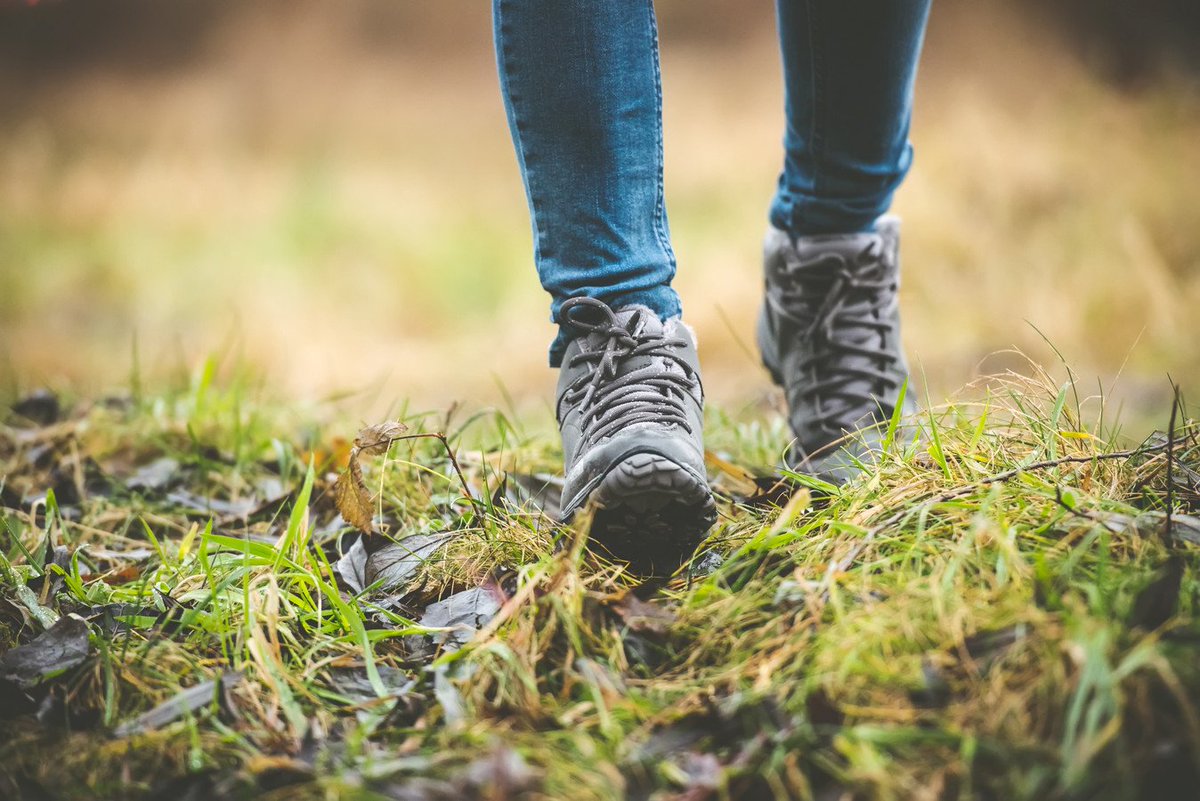VhuizenLoopt's tweet photo. Nu ook een wandeltocht tijdens @VhuizenLoopt! Lees het artikel in de @BarneveldseKrnt  https://t.co/wuRhQdAU2B https://t.co/yDyZH2u46O