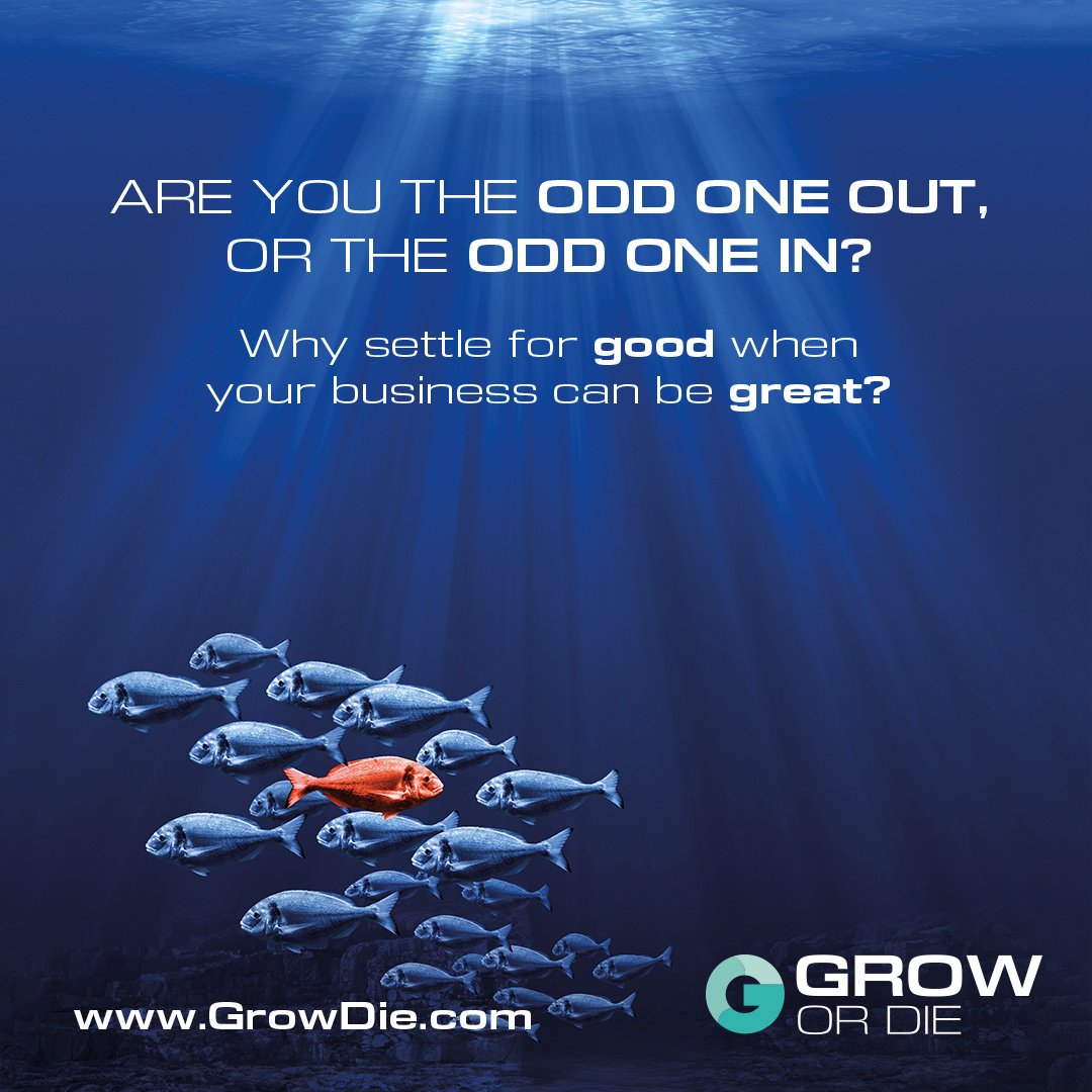 GrowOrDie💡 tweet media