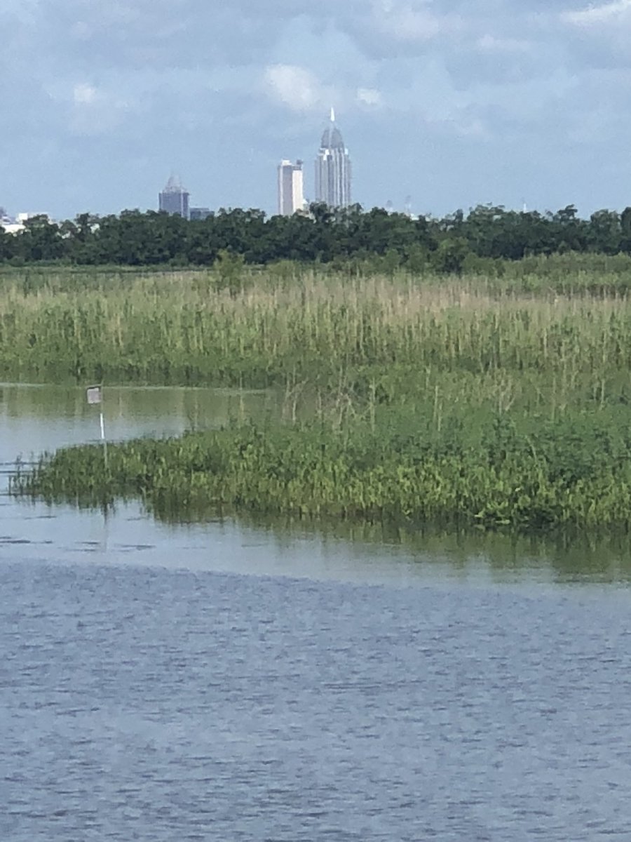 Ms. Busby's 5th (5thGrade_Busby) Twitter