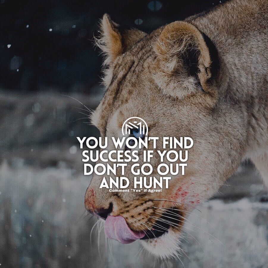 CHASG214's tweet photo. Go out and get it!!+ https://t.co/TLLgWQQ5WB