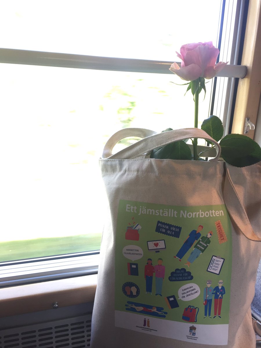 Tack region Norrbotten och länsstyrelsen för att jag fick komma till Luleå och inspirera kring hållbarhet, klimat, jämställdhet! Nu tar jag tåget mot Stockholm men kommer gärna tillbaka igen #globalgoals #swecosweden