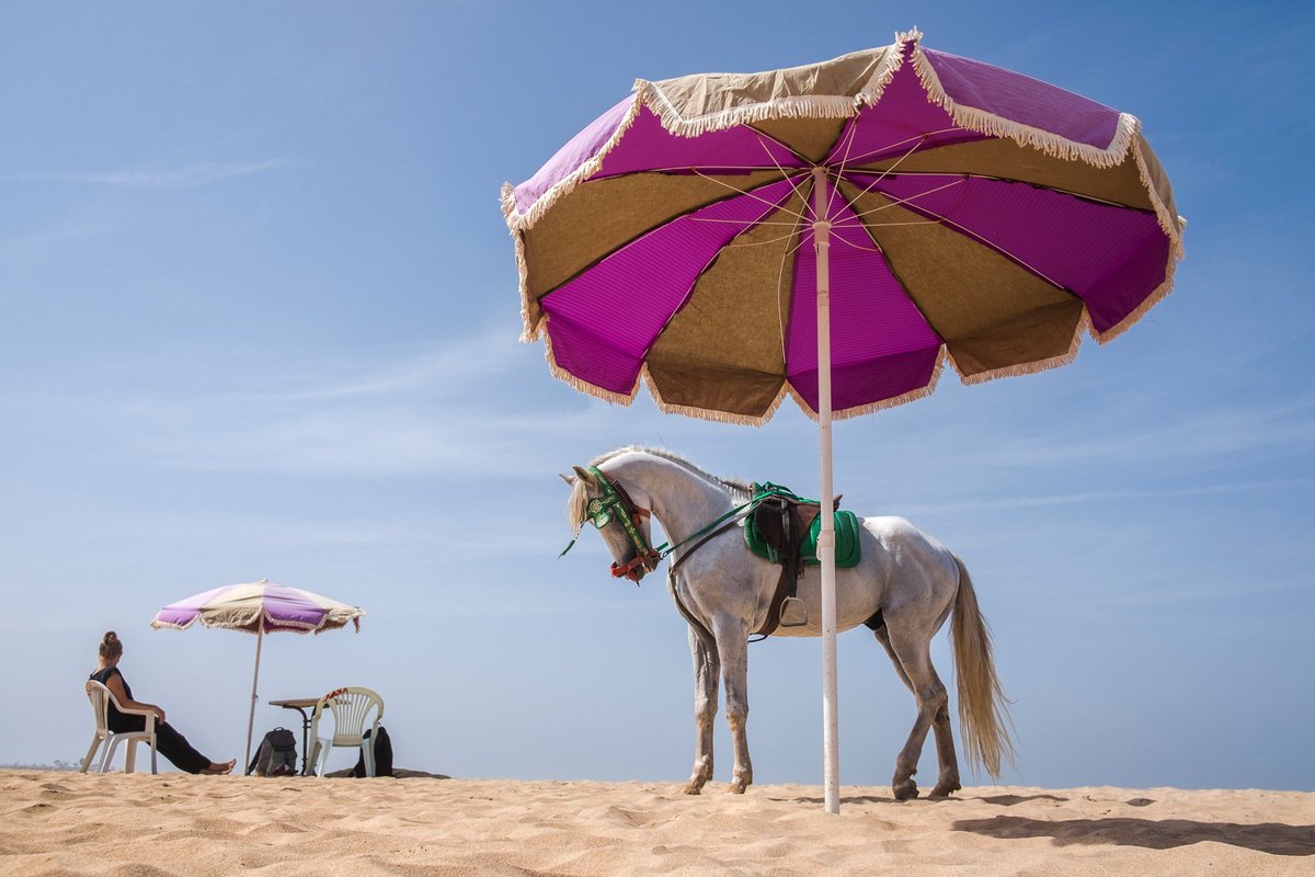 And the <a href="/CAP_Prize/">CAP Prize</a> 2018 winners are… YASSINE ALAOUI ISMAILI for Casablanca Not the Movie | buff.ly/2FT3AK0 | Twitter: <a href="/yoriyas/">Yoriyas</a> | Instagram: <a href="/yoriyas/">Yoriyas</a>
#capprize #africanphotography #photocompetition #photoaward #africa  #artprize #photography #capassociation #exposureaward