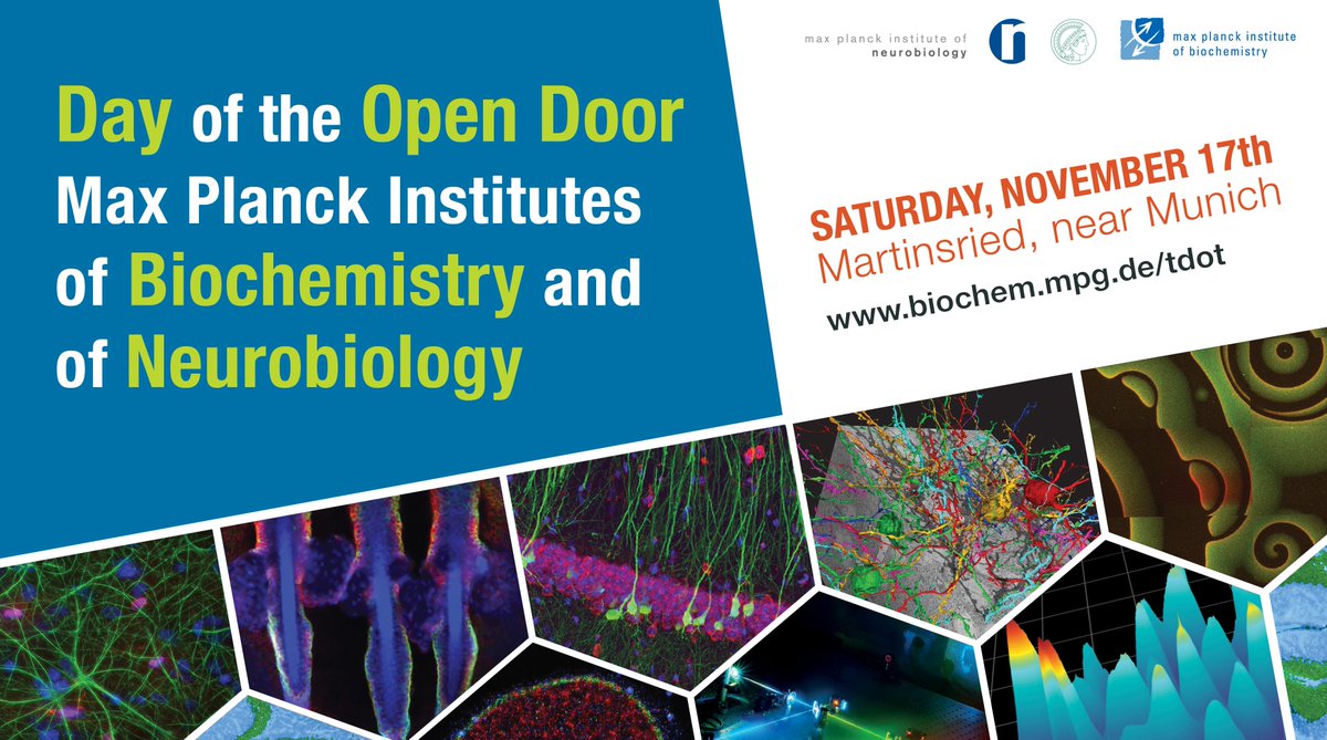 MPI_Biochem's tweet image. Save the date: On November 17, our institute will open its doors along with the @mpiNeuro. Talks, lab tours, information booths, science cinema, hands-on lab and much more. See you all there! biochem.mpg.de/tdot #sciComm #wisskomm #scienceEvent