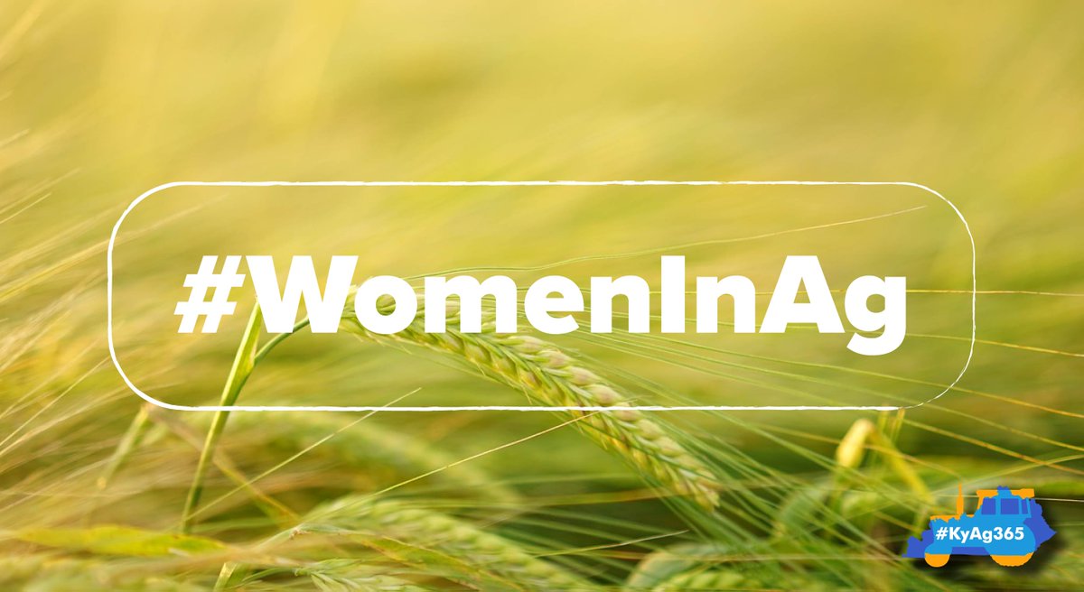 KYAgCommish35's tweet photo. The deadline for the Kentucky Women in Ag scholarship is June 30th. A great way for KWIA to support women in agriculture and the future of Kentucky’s agriculture industry. Apply here → https://t.co/hfDyzQPg6O #KyAg365 https://t.co/jvJdgGRL1G