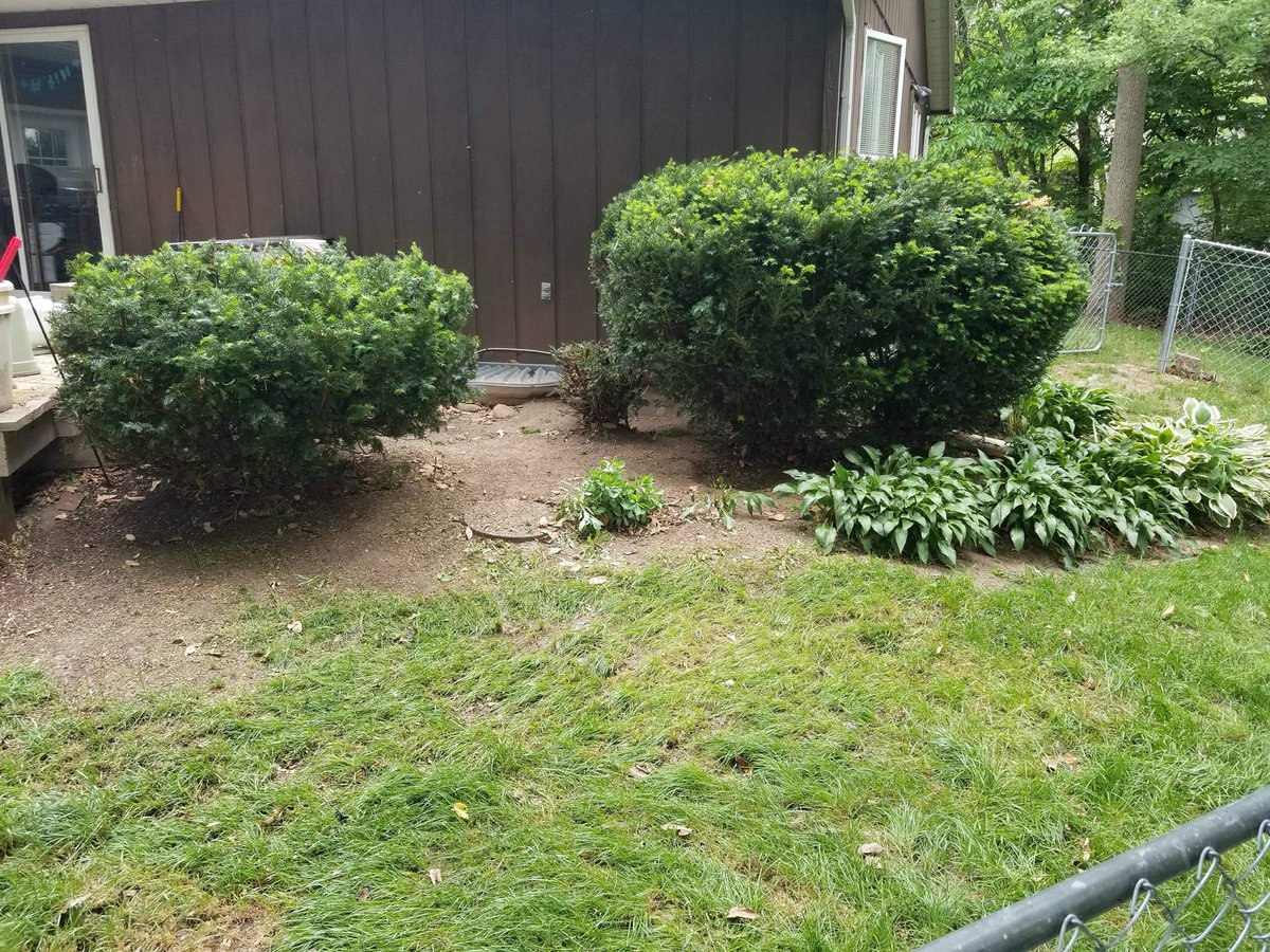 ProEdgePropServ's tweet image. #landscaping #springcleanup #macombil #lawncare #weedremoval #shrubtrimming