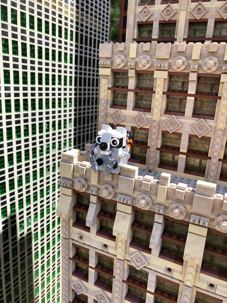 Our raccoons climb buildings too. #MPRaccoon