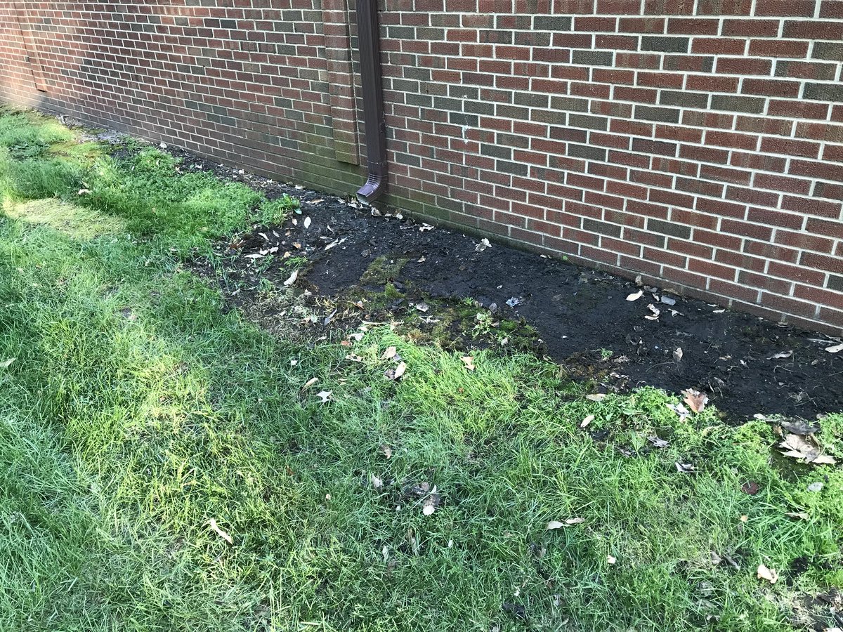 ProEdgePropServ's tweet image. Clean up for local business. #junkremoval #macombil #trashremoval #garbageremoval