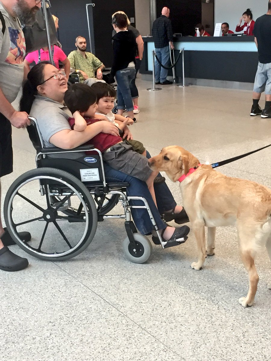 delainafinelli's tweet photo. What I love about my job. #CaringCanines #Philanthropy @ClevelandClinic https://t.co/RSFWiZQEKG