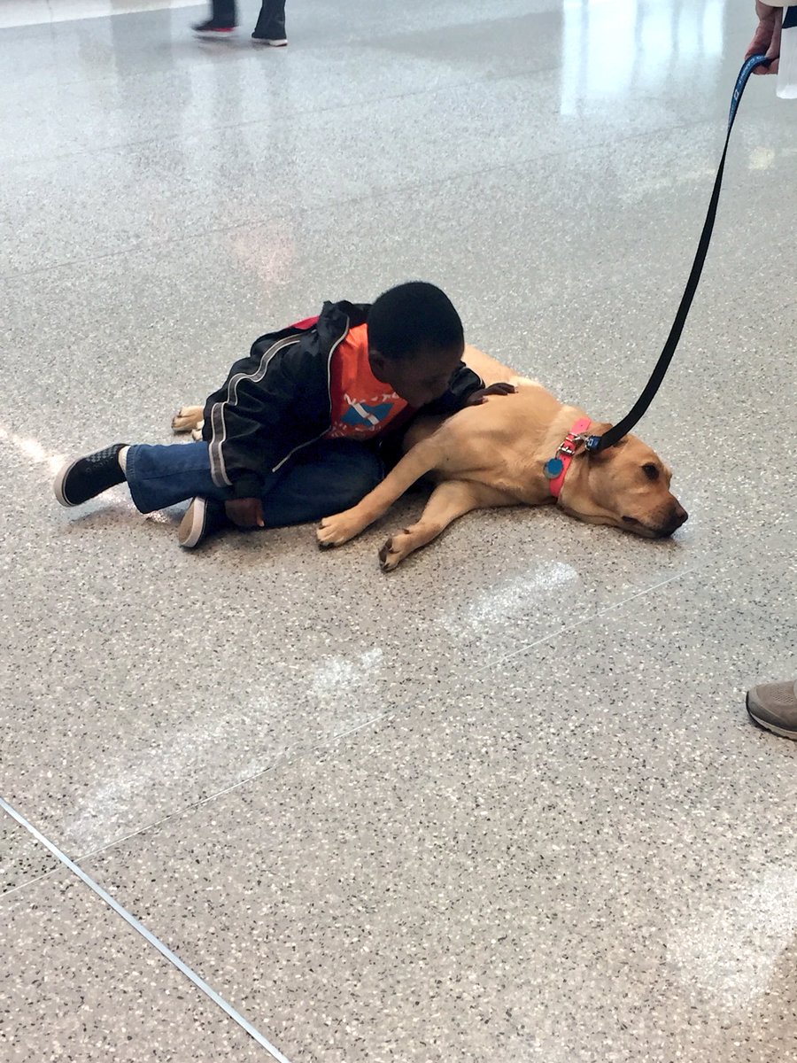 delainafinelli's tweet photo. What I love about my job. #CaringCanines #Philanthropy @ClevelandClinic https://t.co/RSFWiZQEKG