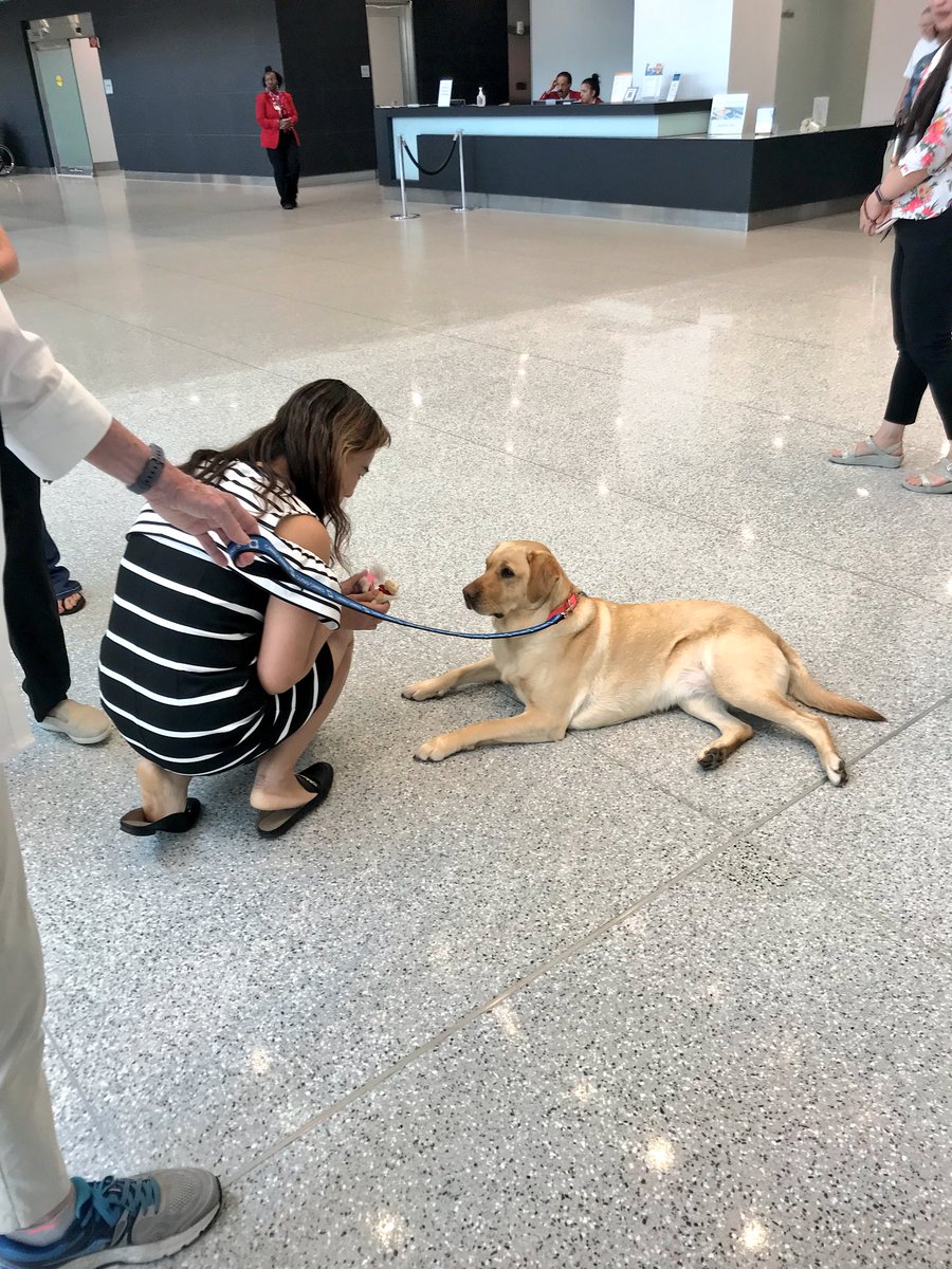 delainafinelli's tweet photo. What I love about my job. #CaringCanines #Philanthropy @ClevelandClinic https://t.co/RSFWiZQEKG